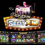 slotxo pug